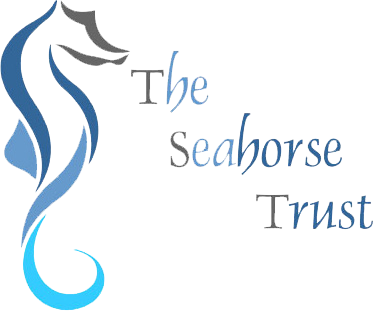 The Seahorse Trust