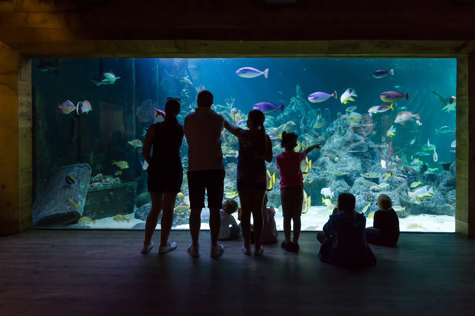 The Aquarium - Skegness Aquarium