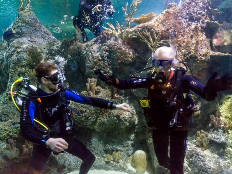 Home Skegness Aquarium
