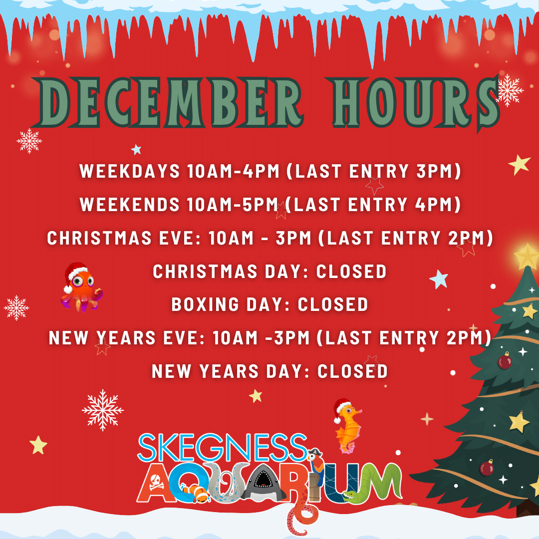 •Weekdays: 10am - 4pm (Last Entry 3pm) •Weekends: 10am - 5pm (Last Entry 4pm) •Christmas Eve: 10am - 3pm (Last Entry 2pm) •Christmas Day: CLOSED •Boxing Day: CLOSED •New Years Eve: 10am - 3pm (Last Entry 2pm) •New Years Day: CLOSED